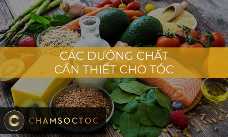 Các dưỡng chất cần thiết cho tóc