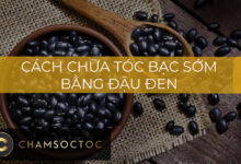 Cách chữa tóc bạc sớm bằng đậu đen