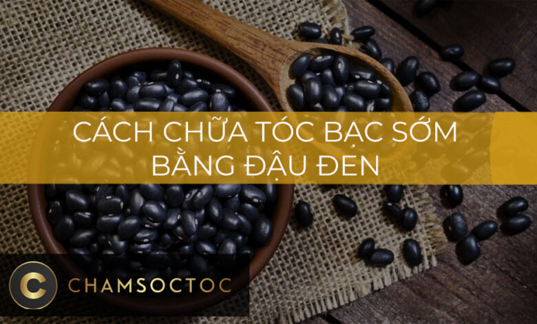 Cách chữa tóc bạc sớm bằng đậu đen