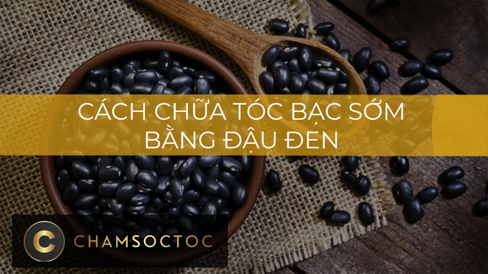 Cách chữa tóc bạc sớm bằng đậu đen