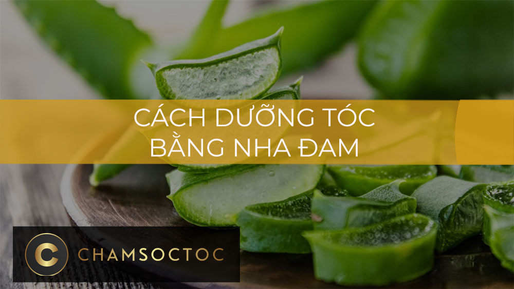 Cách dưỡng tóc bằng nha đam