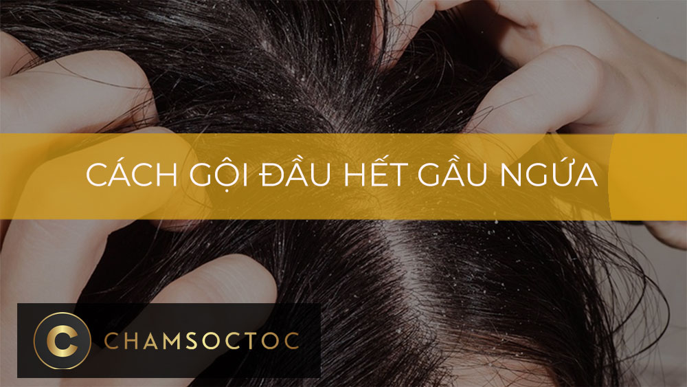 Cách gội đầu hết gầu ngứa