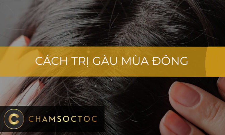 Cách trị gàu mùa đông