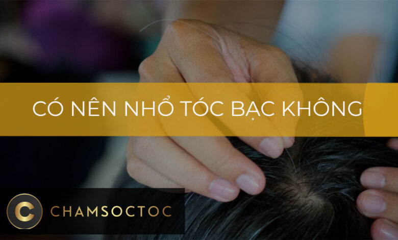 Có nên nhổ tóc bạc không