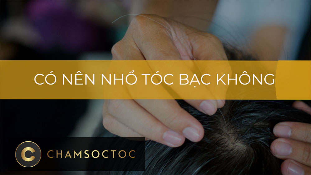 Có nên nhổ tóc bạc không