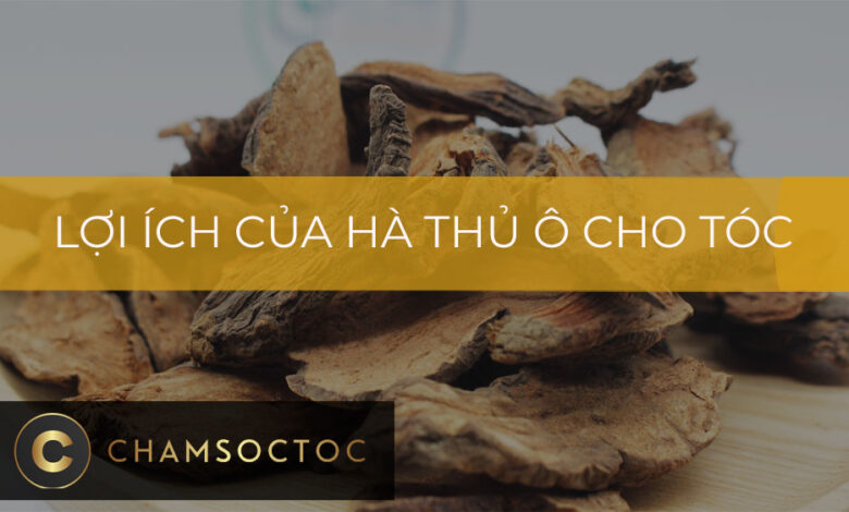 Lợi ích của hà thủ ô cho tóc