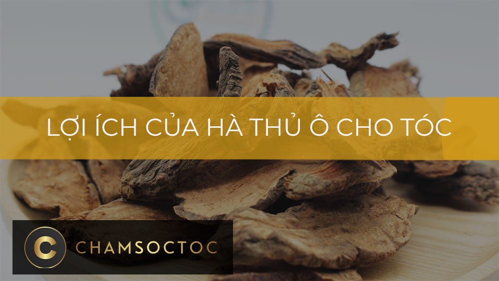 Lợi ích của hà thủ ô cho tóc