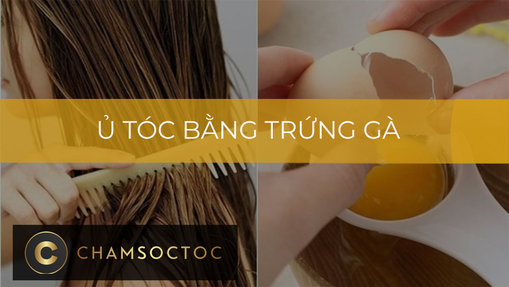 Ủ tóc bằng trứng gà